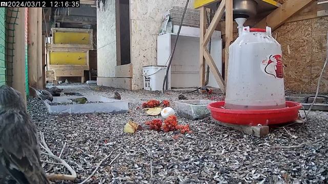 13 марта 2024 г. смотреть онлайн