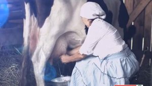 SPAR Russia Chelyabinsk Milk