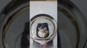 КАК ВЫГЛЯДЯТ НАШИ ОГРАНИЧЕНИЯ