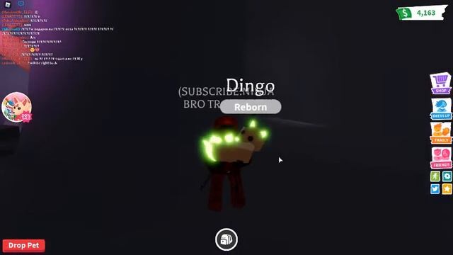 сделал неон динго смотреть онлайн