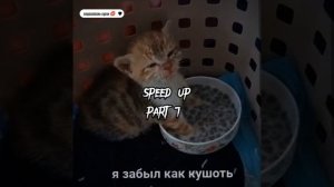 Липси Ха ИНСТАСАМКА speed up