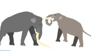 Southern Mammoth Vs Stegodon