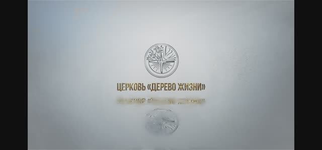 Плодотворная благодать 09.02.2025