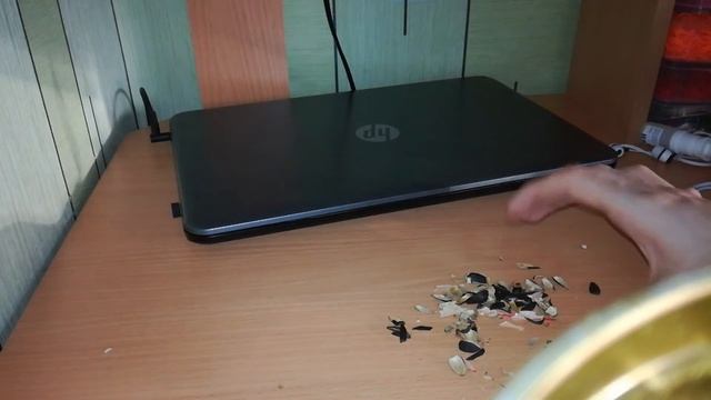 Божья коровка ест мусор смотреть онлайн