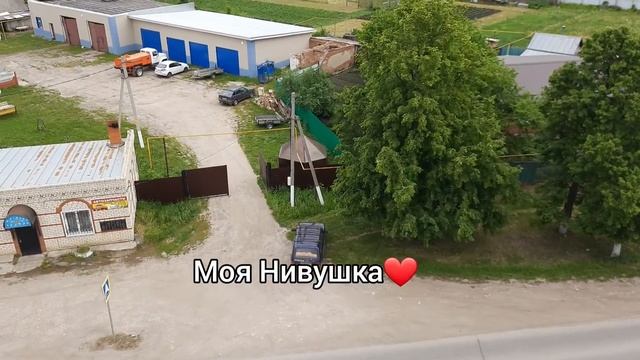 Тополь - это много или мало?