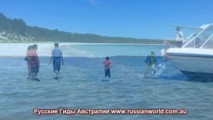 ДЕЛЬФИНЫ В JERVIS BAY