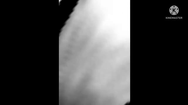 Ibis point x art mahakali art смотреть онлайн