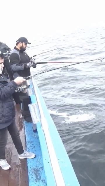 Рыбалка в Чечне и в Европе. 115 смотреть онлайн