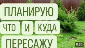 ПЛАНИРУЮ, ЧТО И КУДА БУДУ ПЕРЕСАЖИВАТЬ. 1.04.2024г.