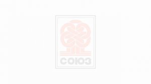 Региональные рекламные заставки (Союз-TV, 22.02.2025-н.в)