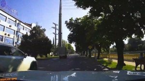 №10 Po Sochi VS Music | По городу