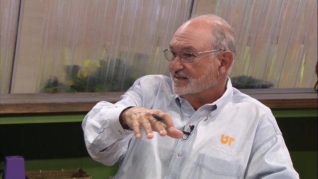 The Family Plot - August 13, 2022 смотреть онлайн