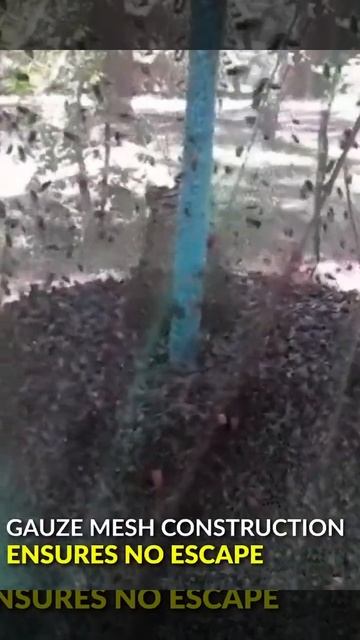 Portable Nontoxic Fly Mosquito Trap смотреть онлайн