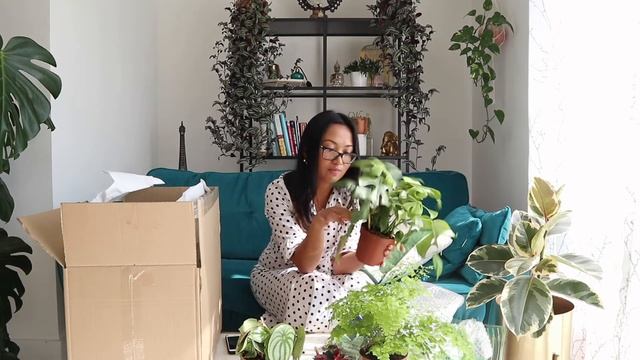 BUYING HOUSEPLANTS ONLINE - London - Unboxing/Haul/Review - April 2020