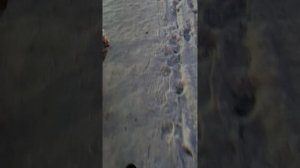 Macbook в отказ и телефон, который забыли в печке