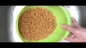 Хлеб из пророщенного зерна без муки