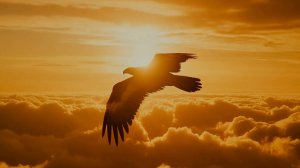 ГДЕ МОЯ ЛЮБИМАЯ