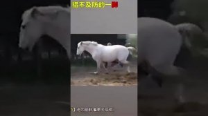 Полный нокаут