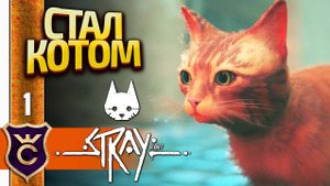 Проходим Симулятор Котика