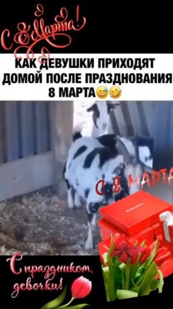 Ты знаешь кому это отправить 🤣🤣🤣