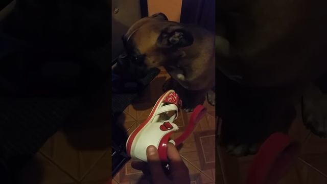 Провинилась)) смотреть онлайн