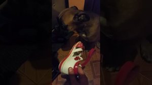 Провинилась))