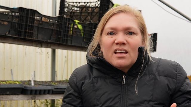 Planting Lisianthus on a wet gray, gloomy winter day! смотреть онлайн