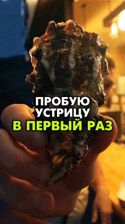 Устрицы 🦪 Да или нет?