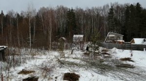 расчистка нового участка