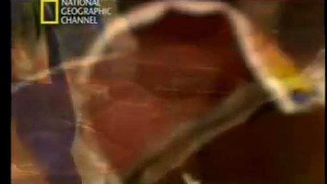 Tetra Pak no National Geographic - Parte 1 смотреть онлайн