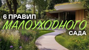Легкий способ создать красивый сад без лишних хлопот