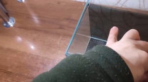 Аквариум для креветок «кардинал» (Caridina dennerli)