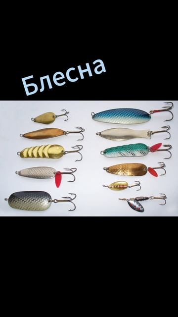 На что ловится сом. #рыбалка #fishing #рыба #fish #карась #carpfishing #плотва #carp смотреть онлайн