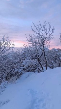 Закатная зимняя красота в Пятигорске