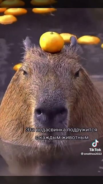 31 марта 2023 г.