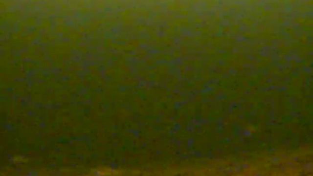 Строгино, окунь. смотреть онлайн