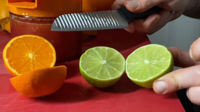DIY Citrus Juice | Hand Squeezed Orange, Lemon, Grapefruit, Lime (Visual ASMR)
