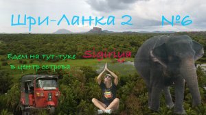 Шри-Ланка 🇱🇰 Едем на тук-туке в центр острова. Сигирия!
