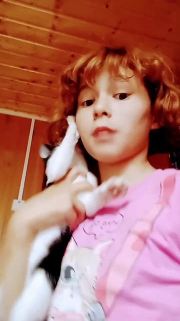 Когда моя Кошка съела пироженку любимую с клубникой малиной вишней смотреть онлайн