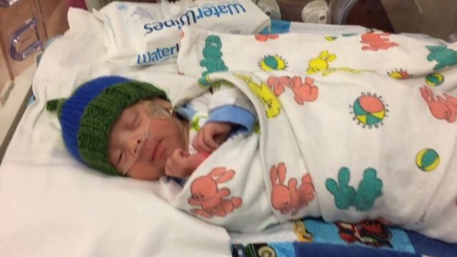 Kempel Quintuplets - Introducing