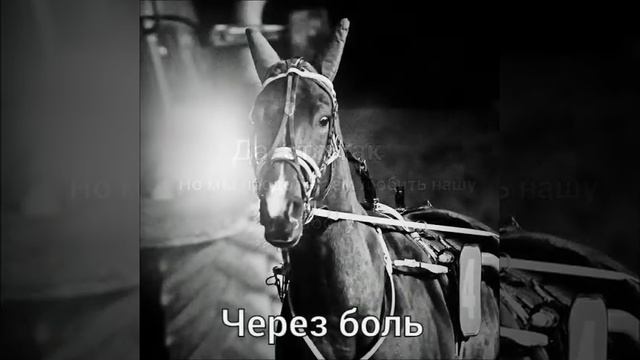 Рысаки смотреть онлайн