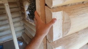 Мои ГРУБЫЕ ОШИБКИ при строительстве БАНИ! На чём не стоит экономить? Почему же об этом не говорят?