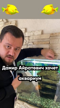 Дамир Айратович хочет Аквариум