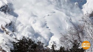 Лавина идет! Доброе утро. Фрагмент выпуска от 21.02.2025
