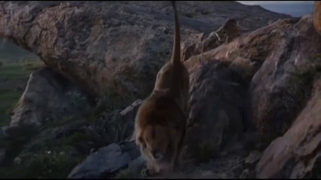 Король лев.Клип.1 часть