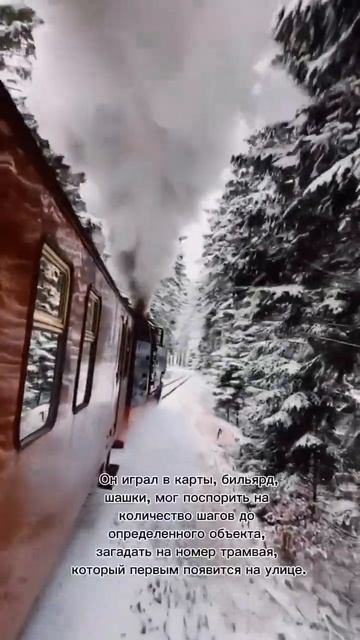 Маяковский - азартный или нет? #жизнь #цитаты #мысли #цитатывеликих #мир смотреть онлайн