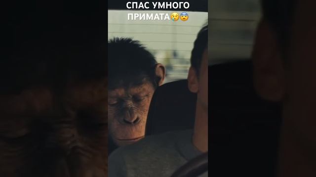 ФИЛЬМ: ПЛАНЕТА ОБЕЗЬЯН #фильм #кино #сериал #фильмы #movieclips #фильмнавечер #film смотреть онлайн