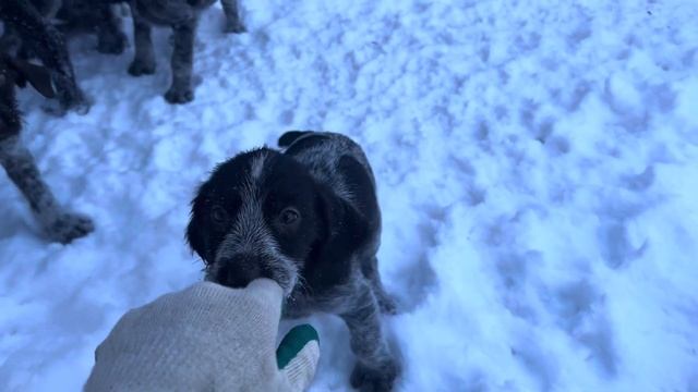 10.01.24 без трех дней два месяца