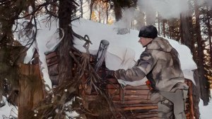 Установил печь в Лесной Хижине