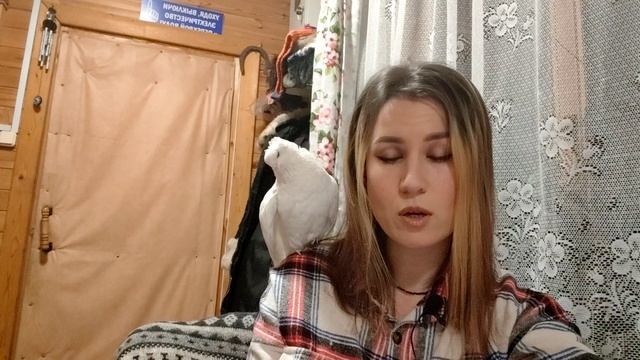 АНАСТАСИЯ. Если вы подобрали птицу. Часть 5 смотреть онлайн